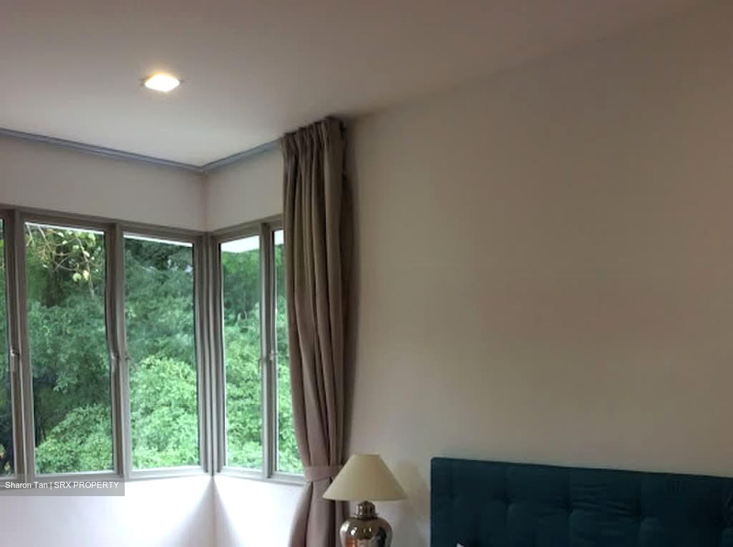 Nassim Regency (D10), Condominium #576834211